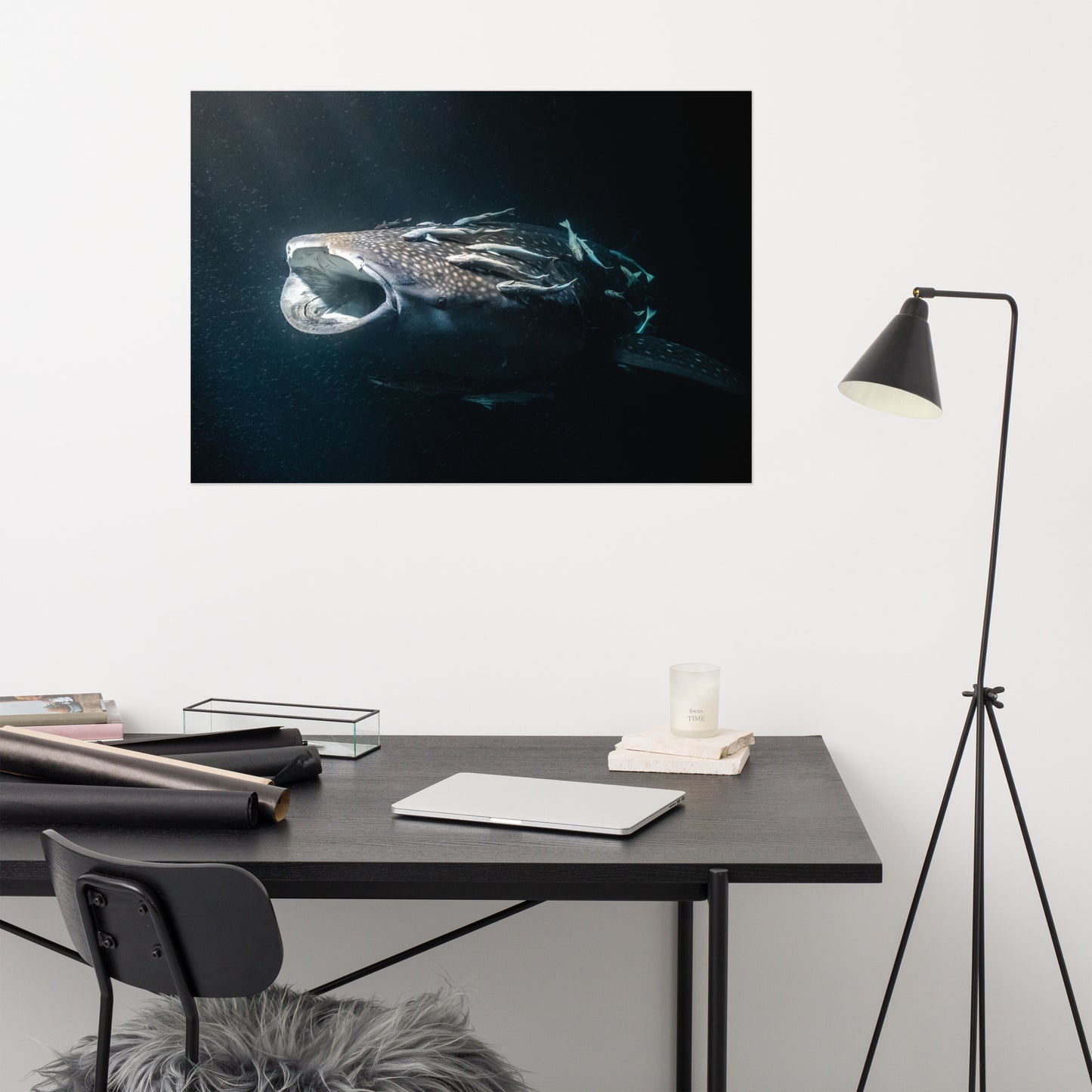Whaleshark Print