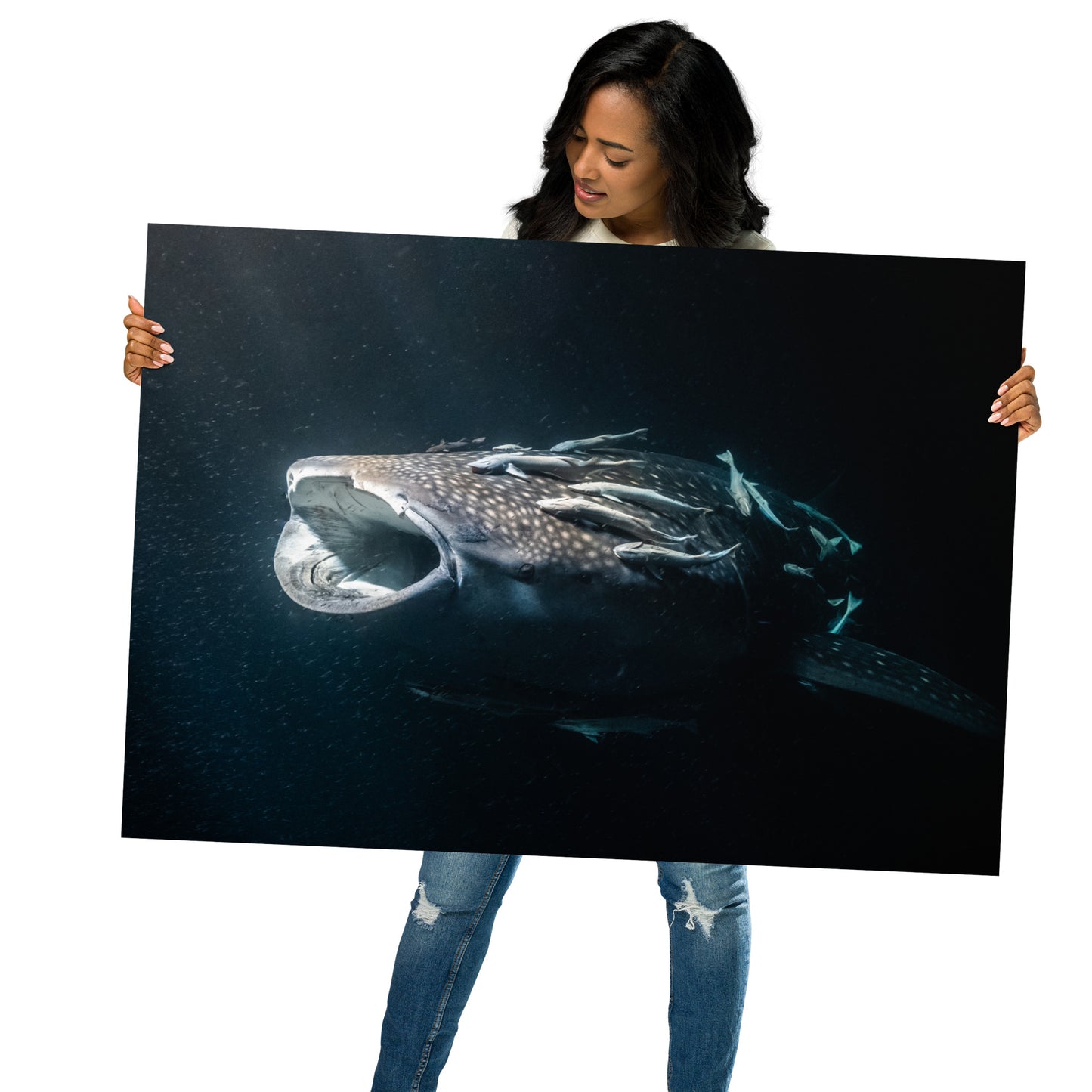 Whaleshark Print