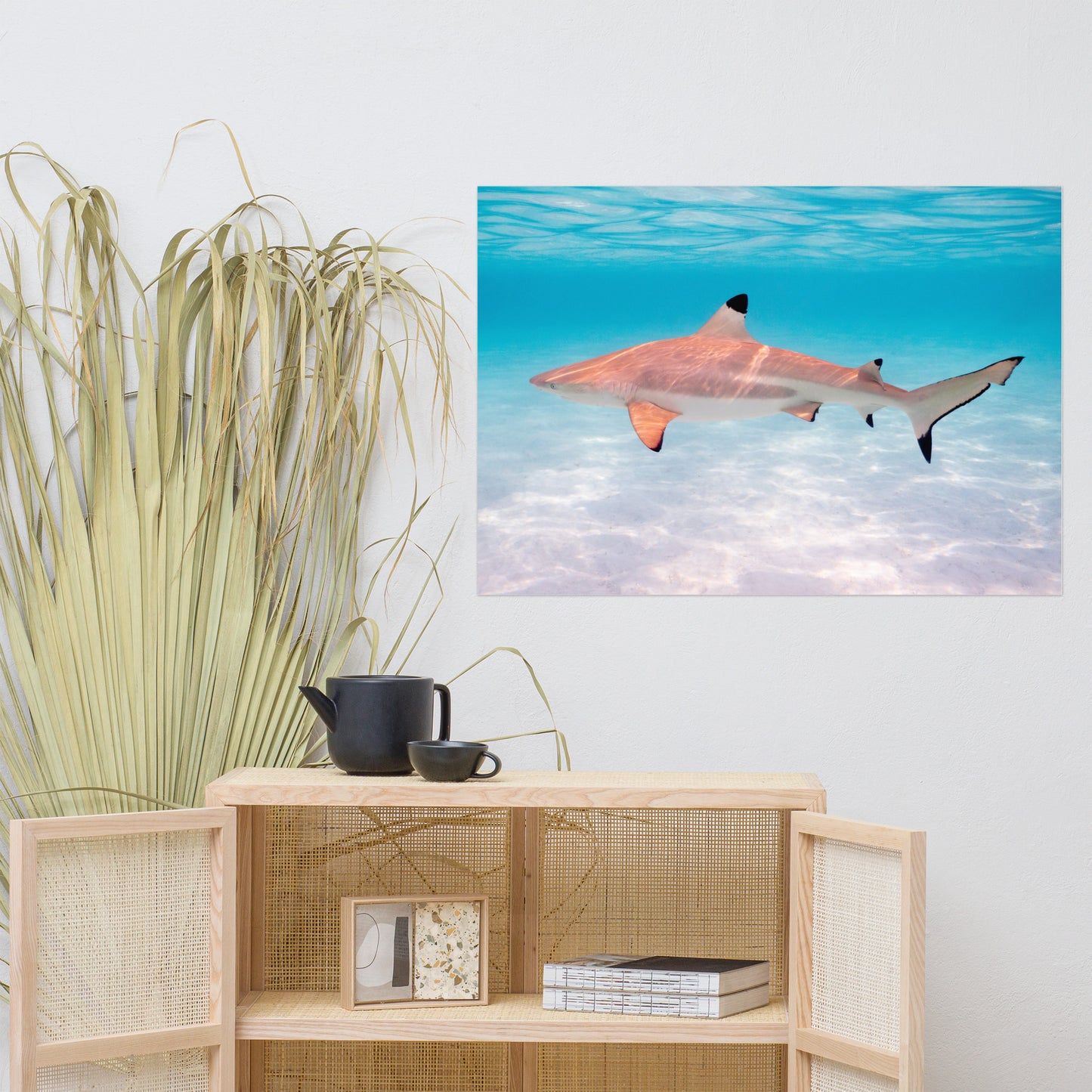 Blacktip Shark Print