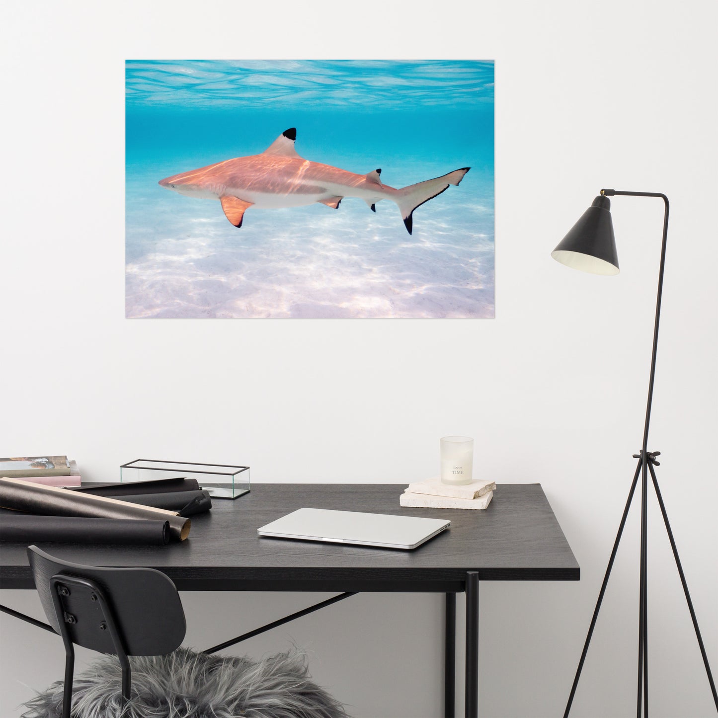 Blacktip Shark Print