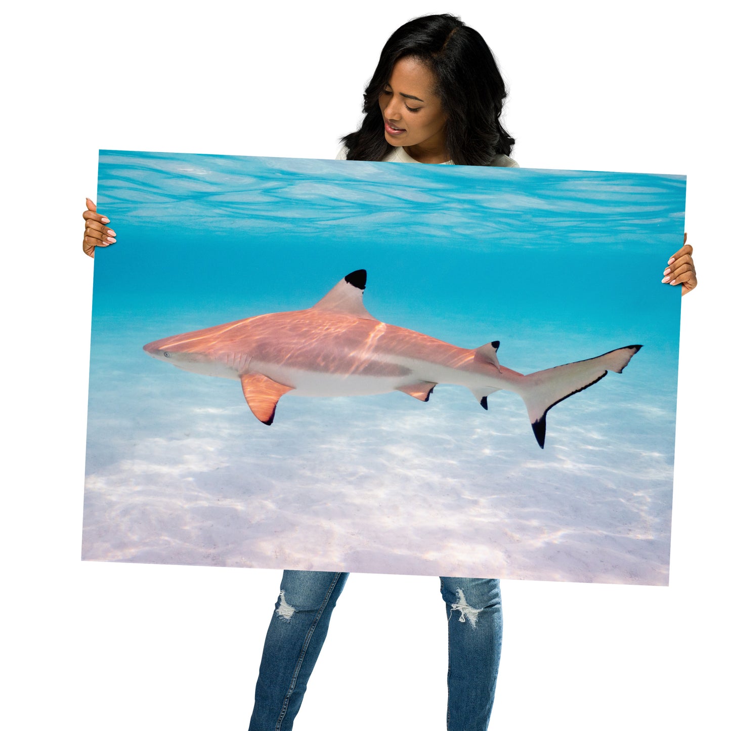 Blacktip Shark Print