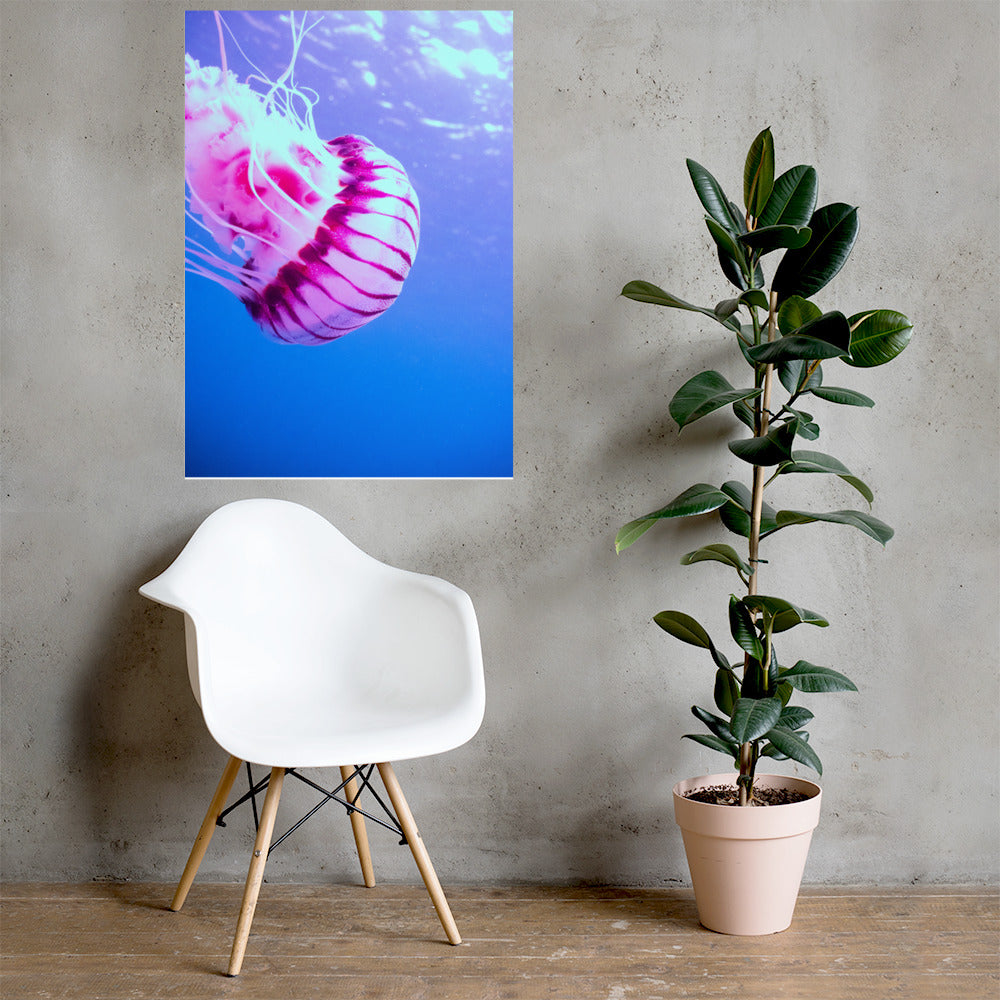 Jellyfish Day Print