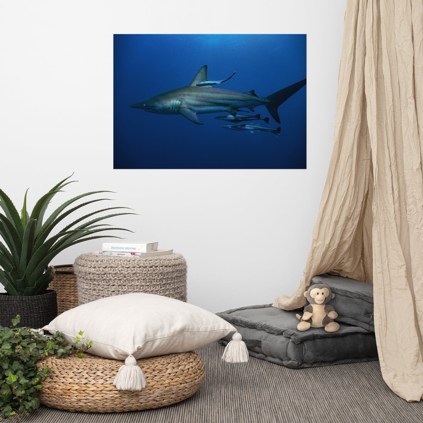Shark Adoption Package