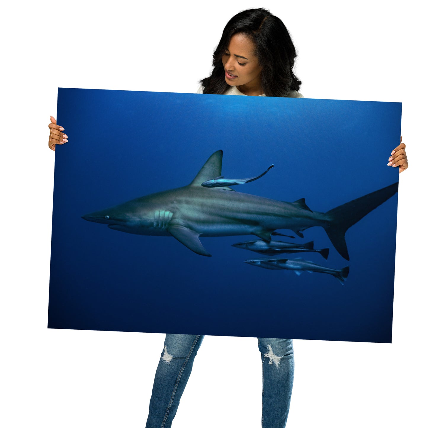 Shark Adoption Package
