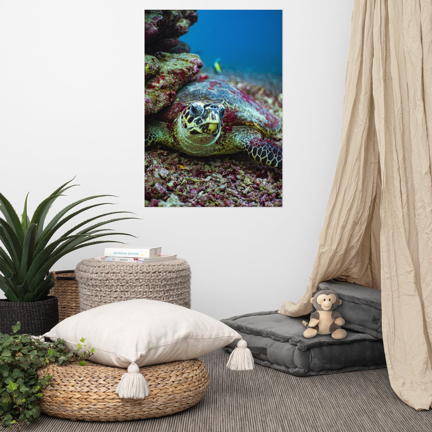 Turtle Adoption Package