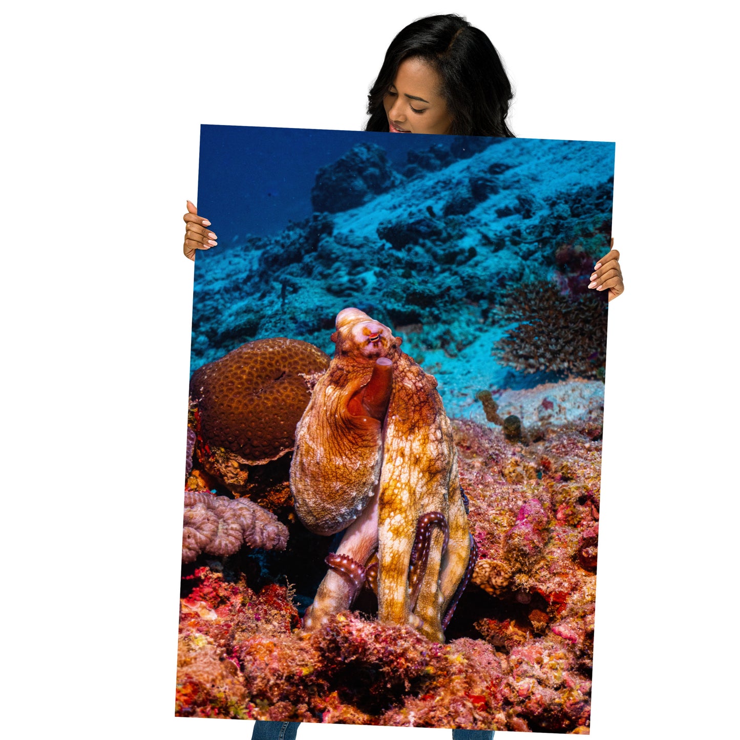 Octopus Print