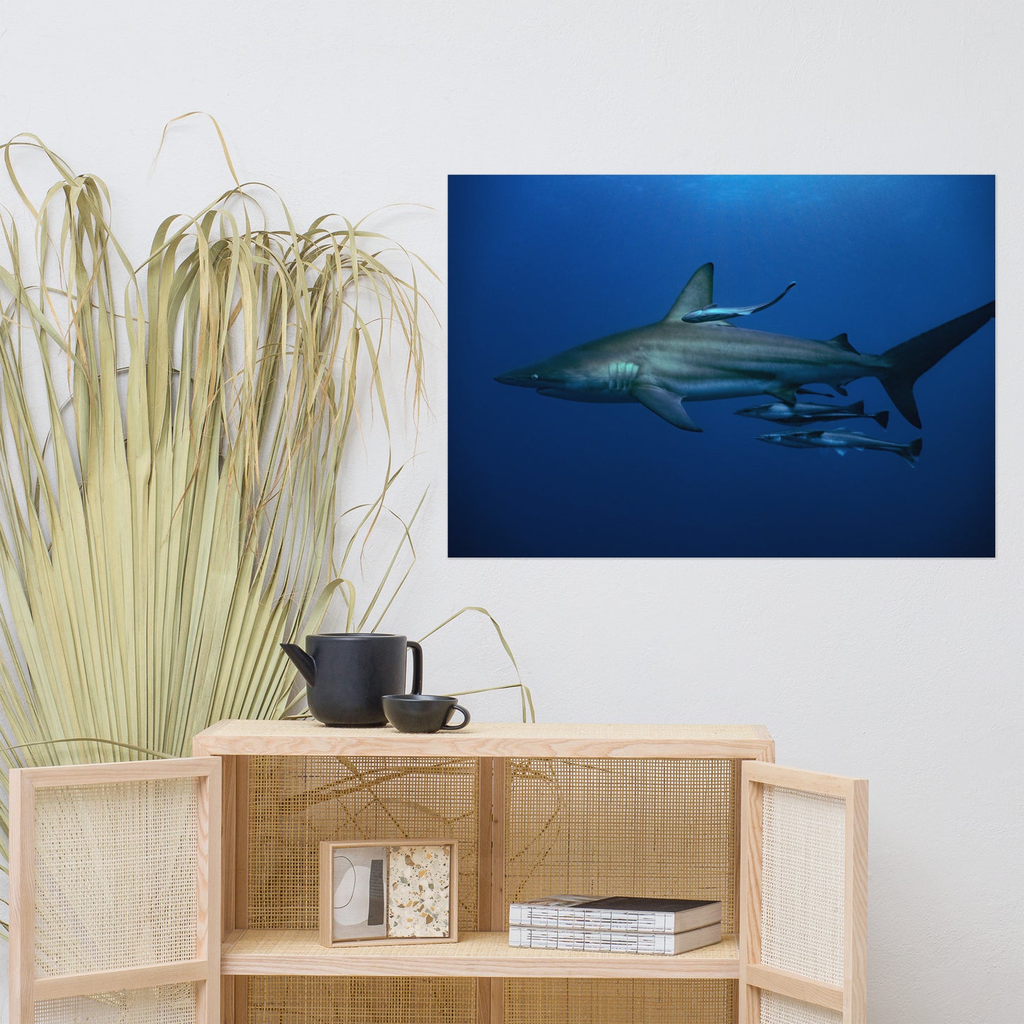 Shark Adoption Package