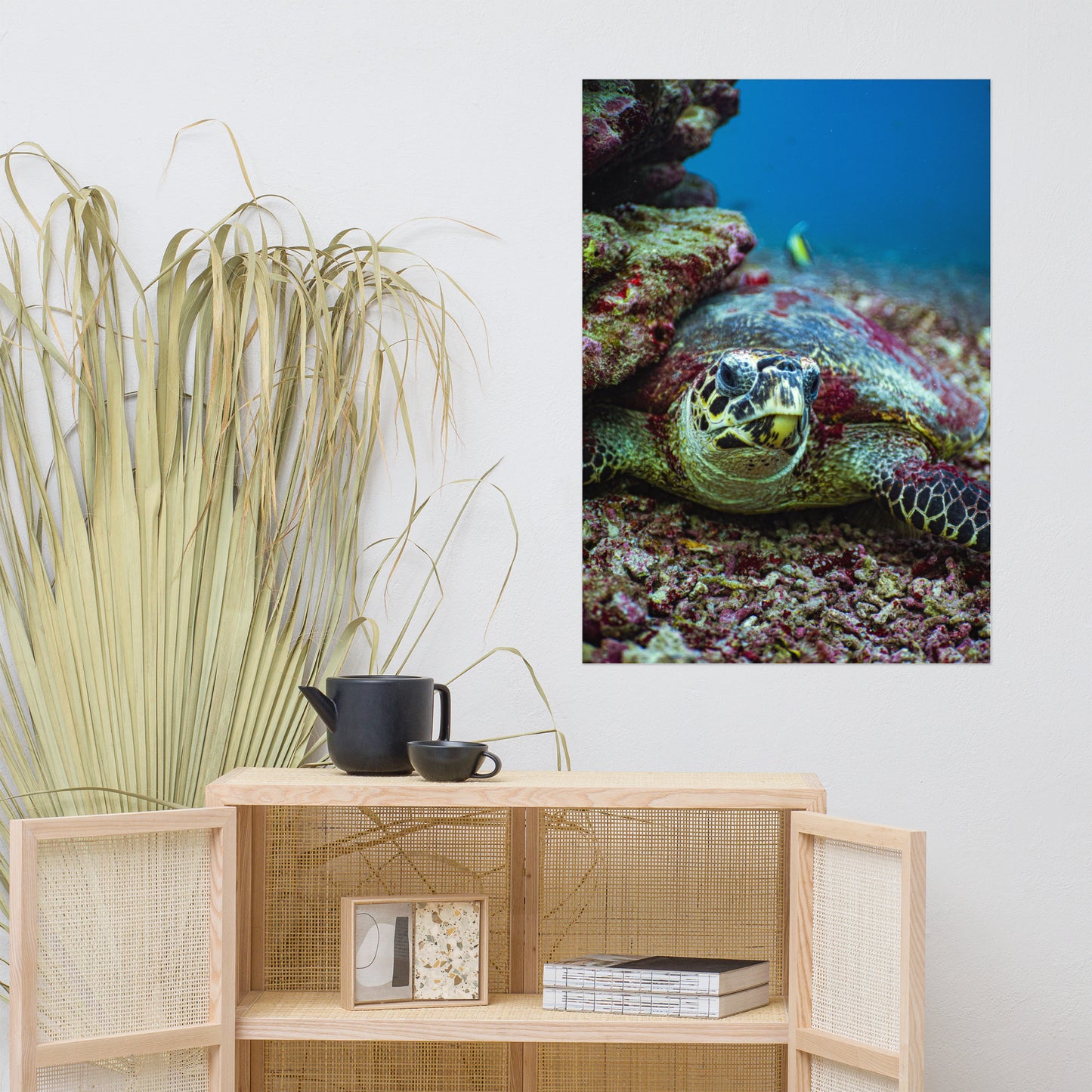Turtle Adoption Package